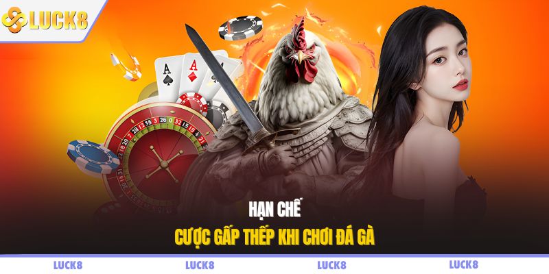 Hạn chế cược gấp thếp khi chơi đá gà