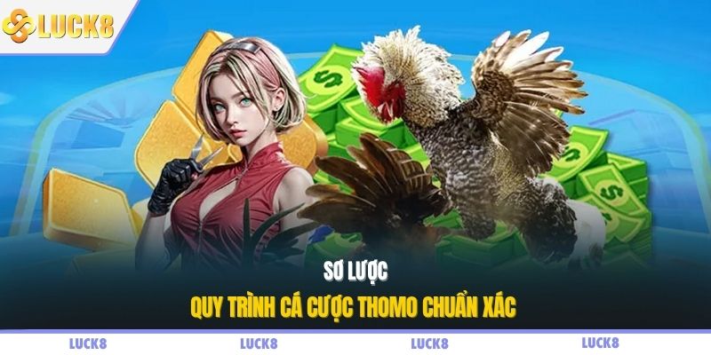 Sơ lược quy trình cá cược Thomo chuẩn xác 